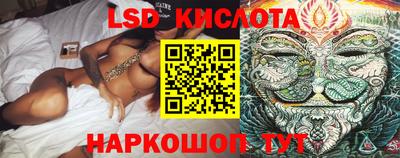крисы Кунгур