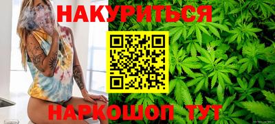 крисы Кунгур