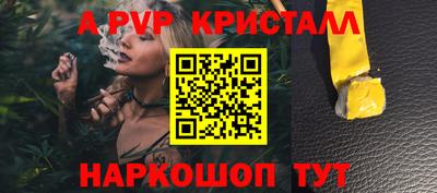 крисы Кунгур