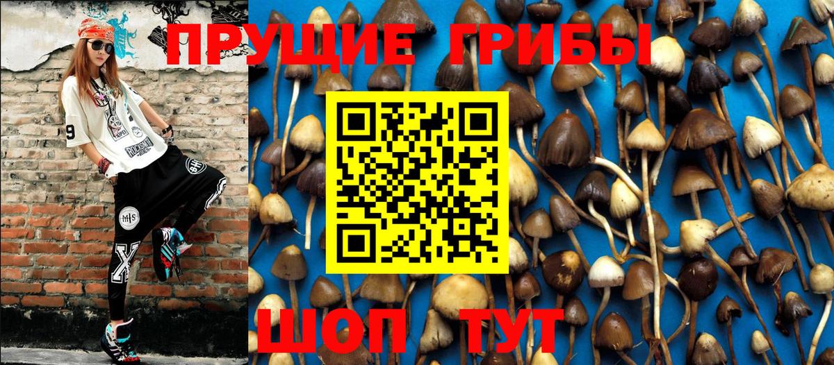 Псилоцибиновые грибы Magic Shrooms Коломна