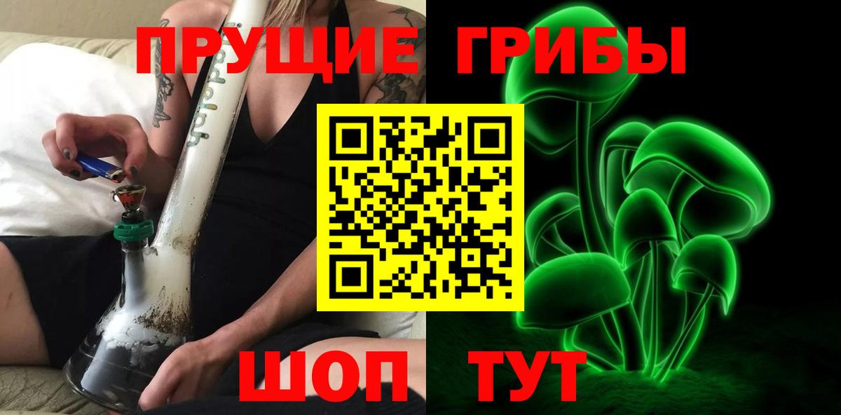 Псилоцибиновые грибы Psilocybine cubensis  Вход с VPN  Коломна 
